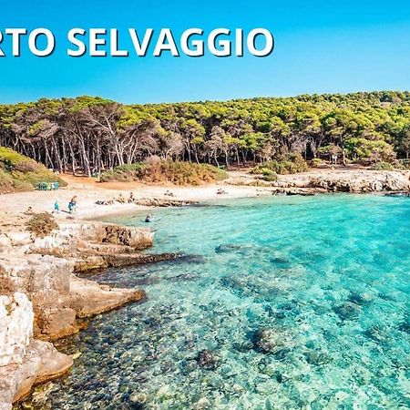 Casa Smeraldo Mare A Sud Di Porto Cesareo Torre Inserraglio Εξωτερικό φωτογραφία